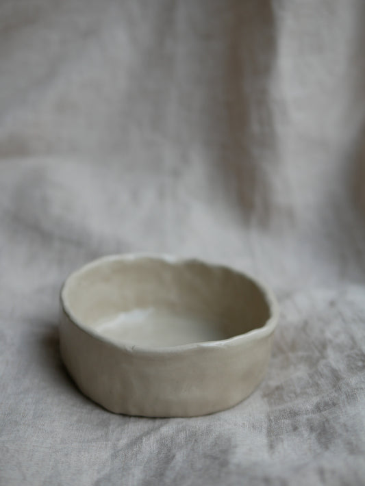 Pet bowl small