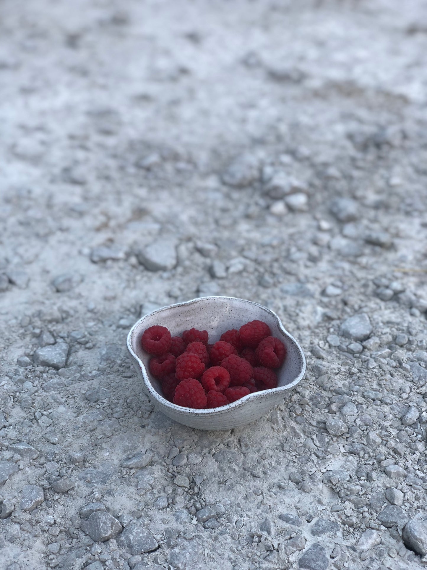 Bloom Bowl