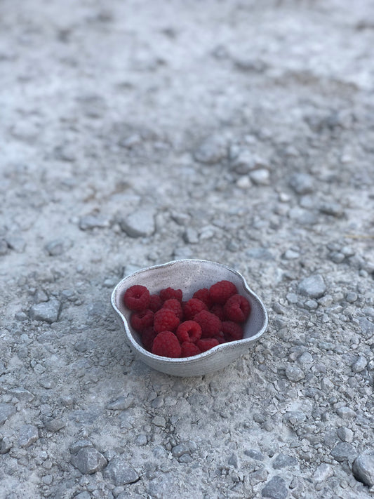 Bloom Bowl